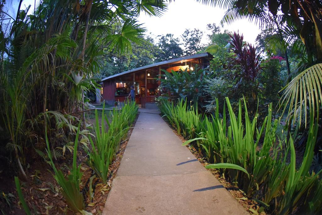 Finca Verde Lodge Бійягуа Екстер'єр фото