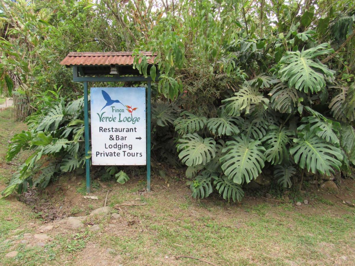 Finca Verde Lodge Бійягуа Екстер'єр фото